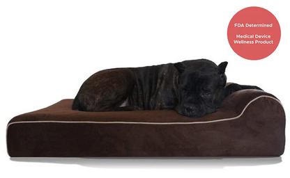 Infrared Orthopedic Dog Bed