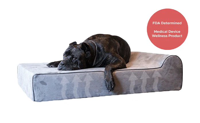 Infrared Orthopedic Dog Bed