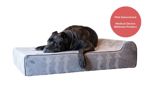 Infrared Orthopedic Dog Bed